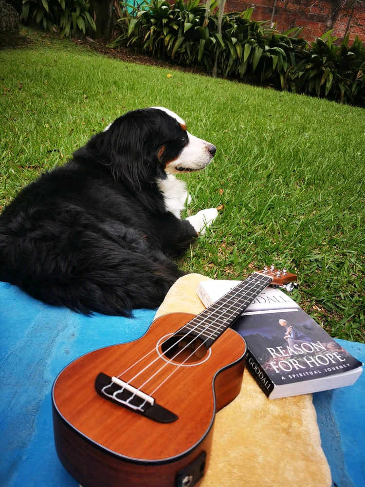 GIF uploaded by Lucía