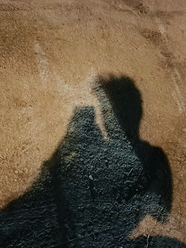 GIF อัปโหลดโดย SAHIL