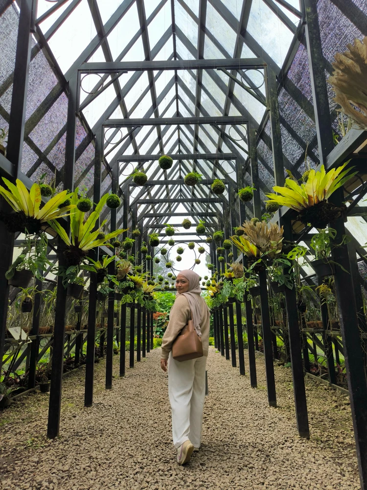 Image uploaded by Shinta