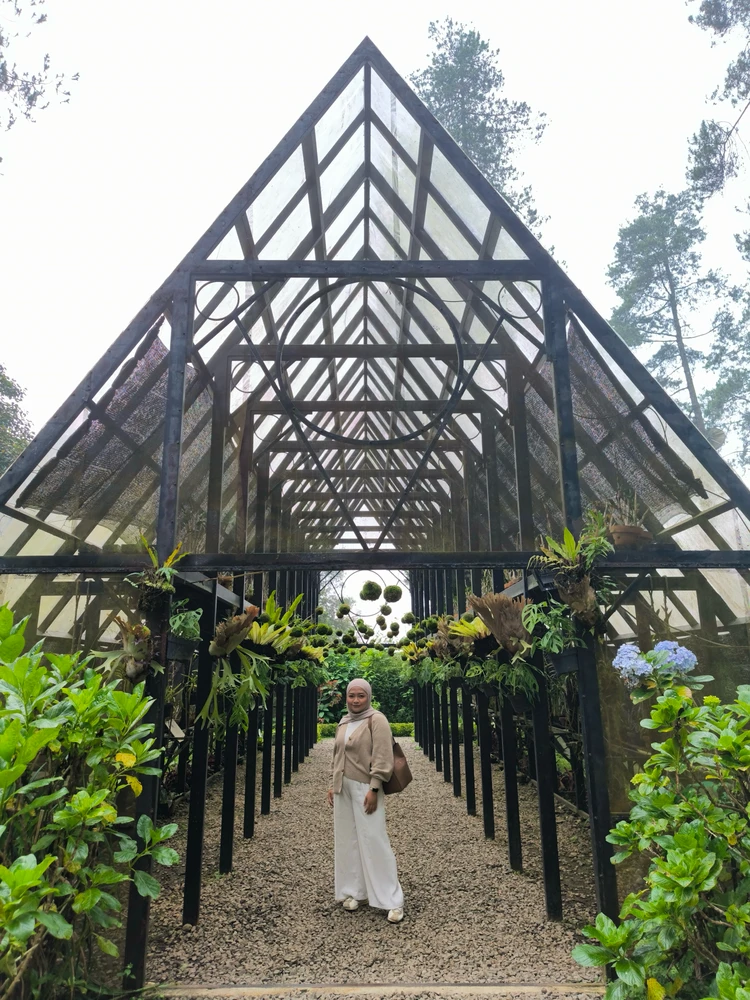 Image uploaded by Shinta