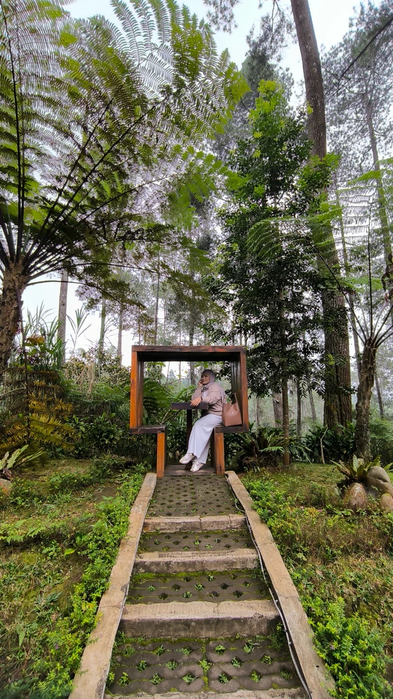 Image uploaded by Shinta