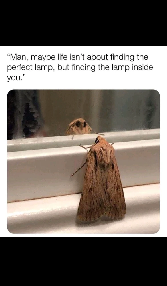 GIF uploaded by Miloš