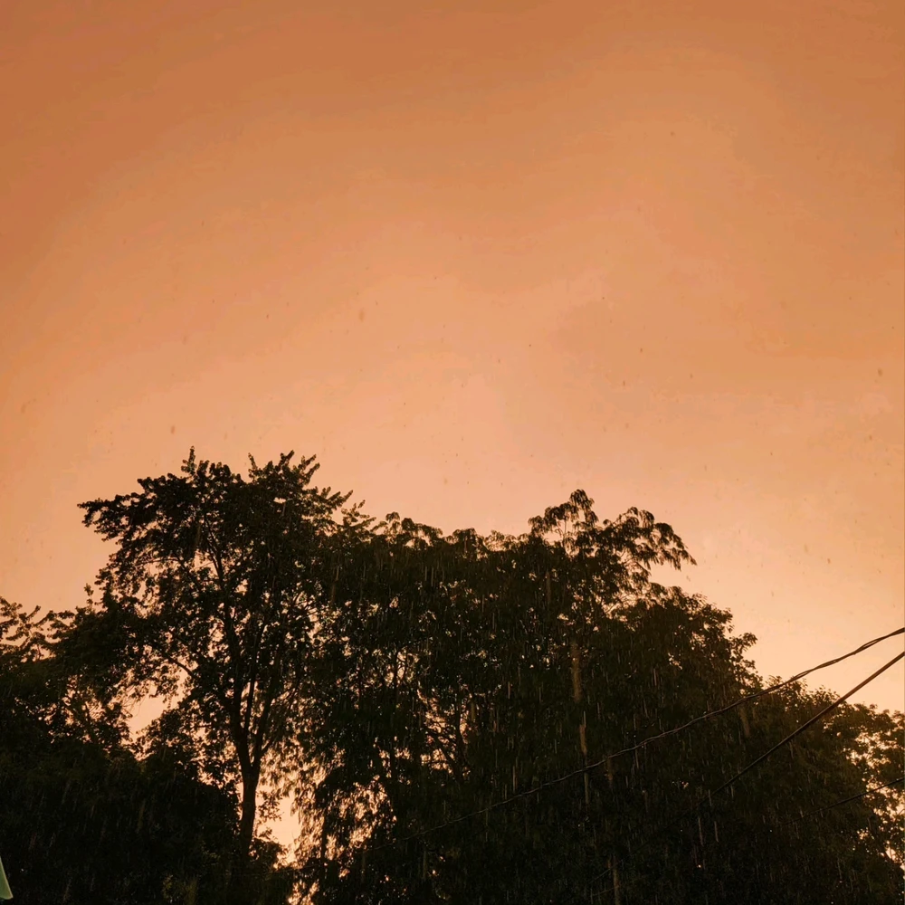 T байршуулсан GIF