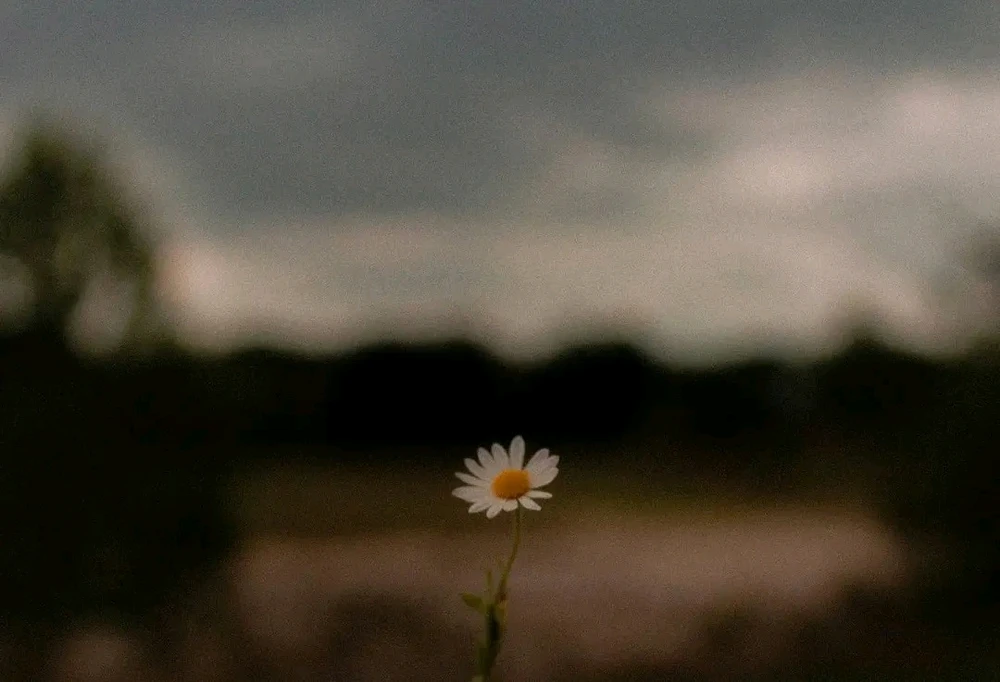 GIF uploaded by ❤ Sophia aka Mango Mami ❤️