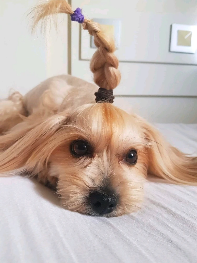 GIF uploaded by Sissa