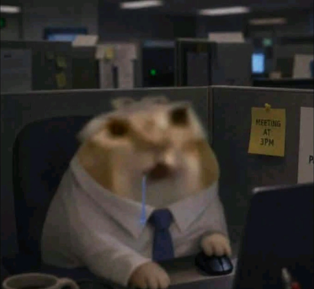 GIF įkėlė Lucas