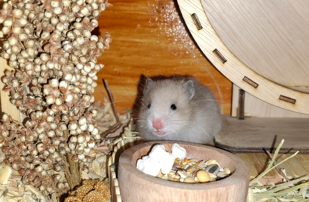 GIF uploaded by Linda