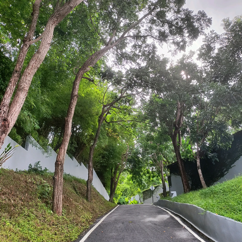 Image uploaded by Hasana
