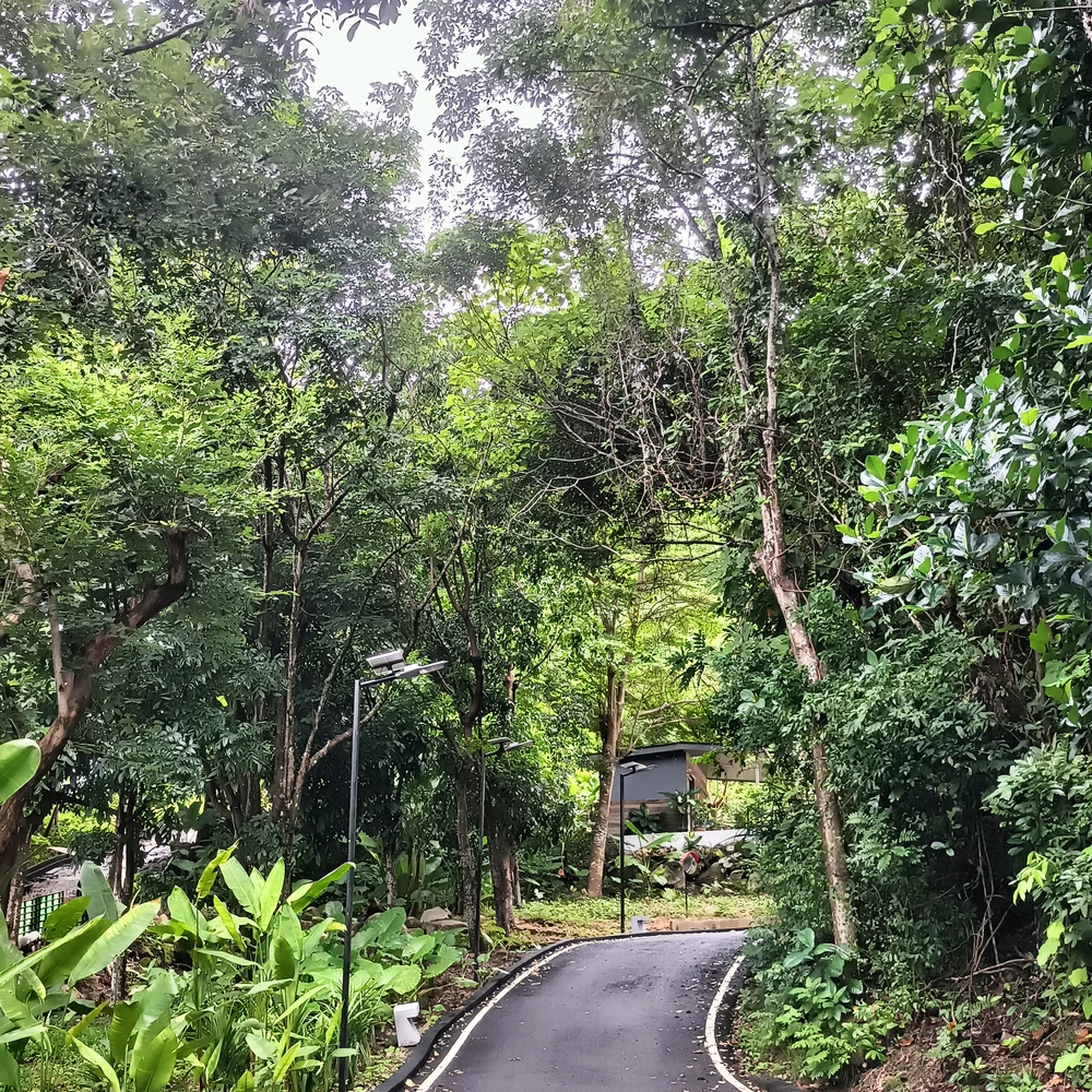 Image uploaded by Hasana