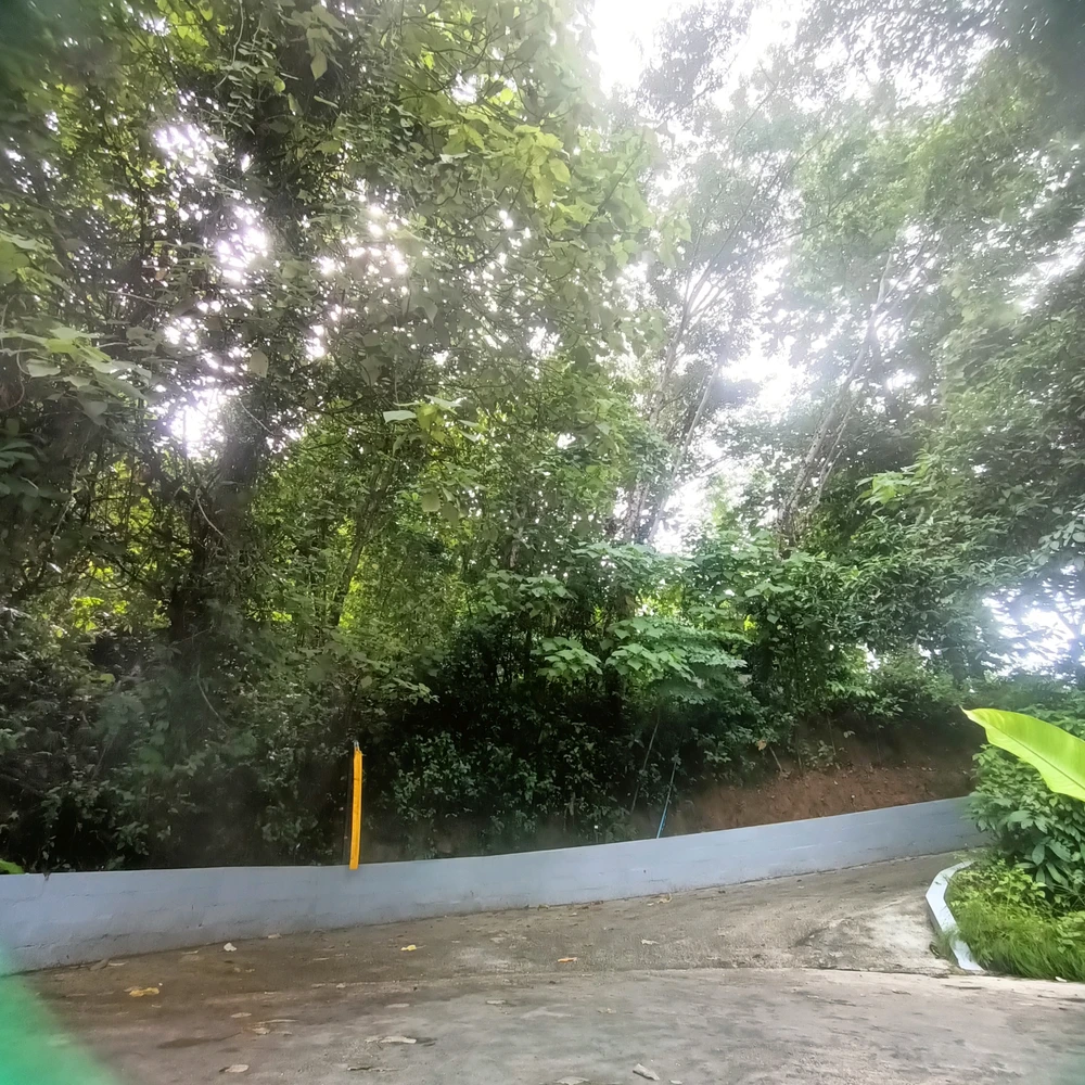 Image uploaded by Hasana