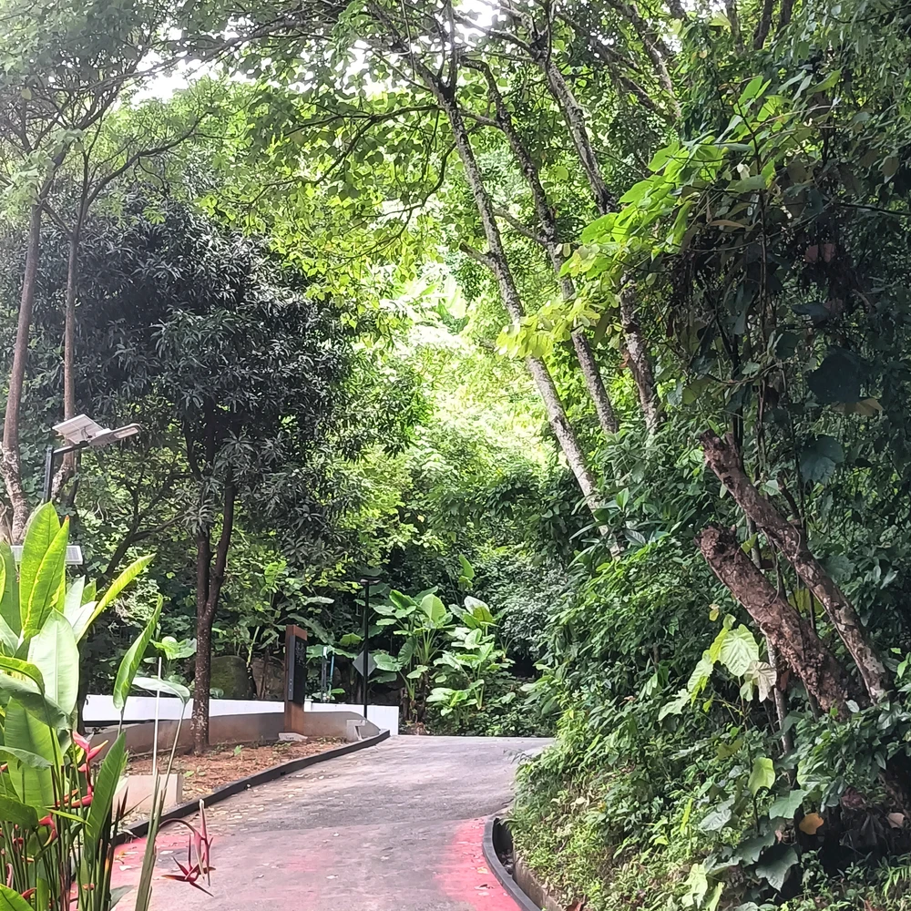Image uploaded by Hasana