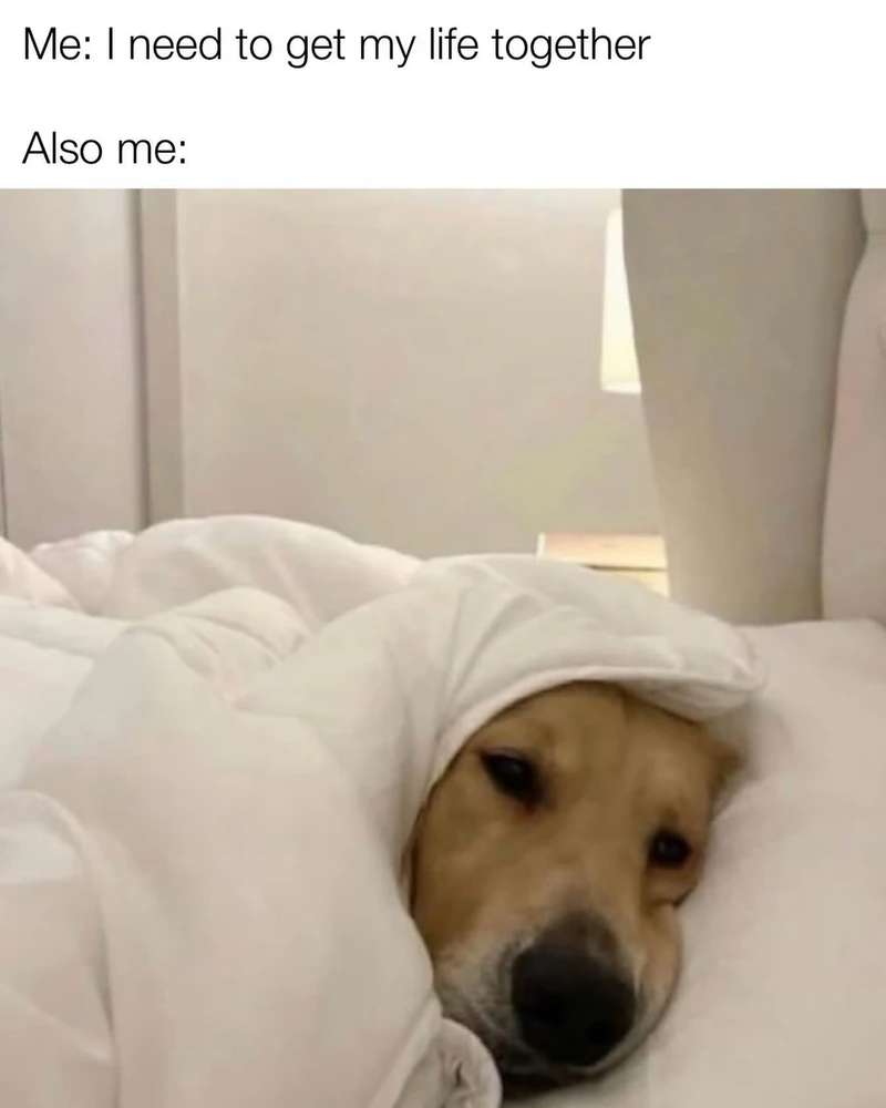 GIF uploaded by Jen