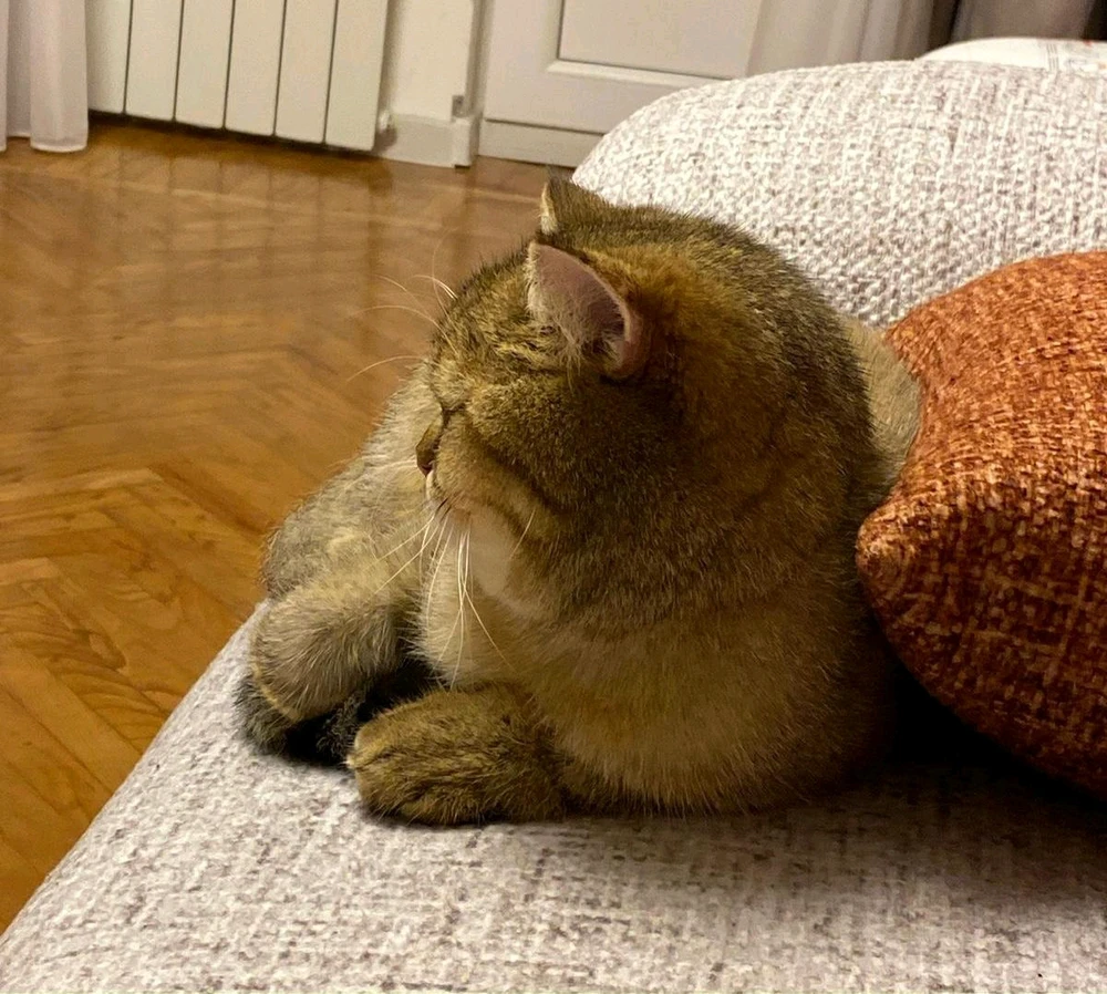 GIF uploaded by Huseyn