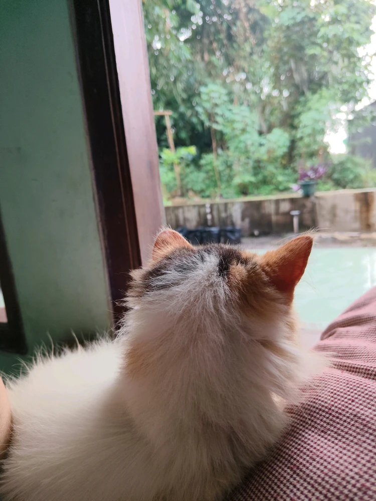 GIF uploaded by CheeKy ORyZa