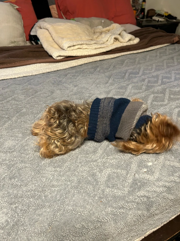 Image uploaded by Stanley