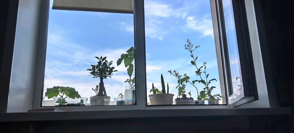 GIF učitao/la Rose