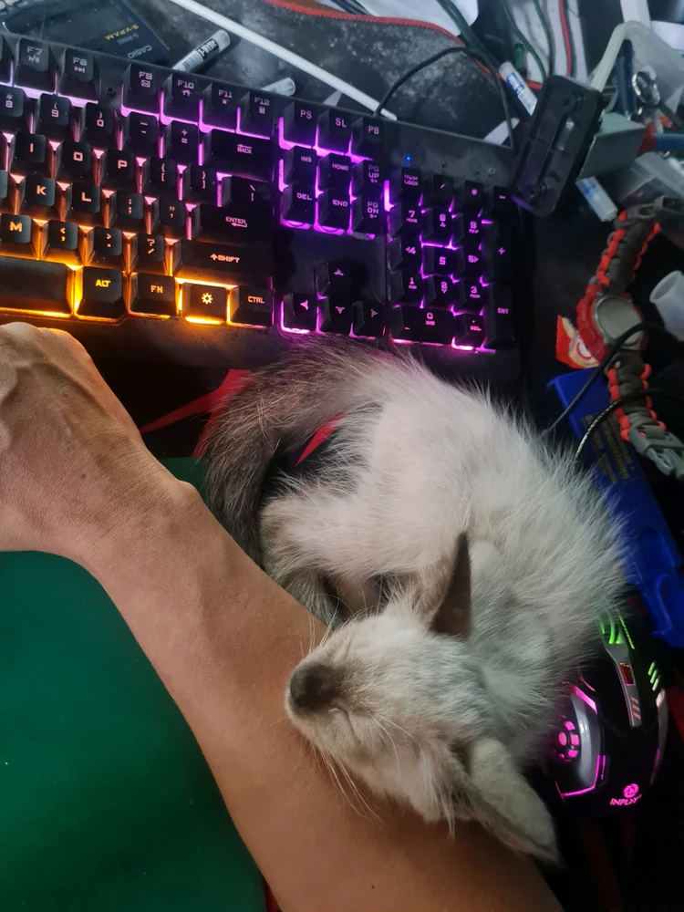 Work from home