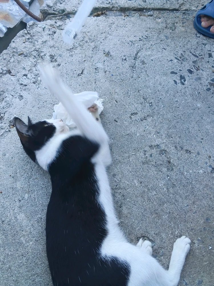 GIF uploaded by Reille