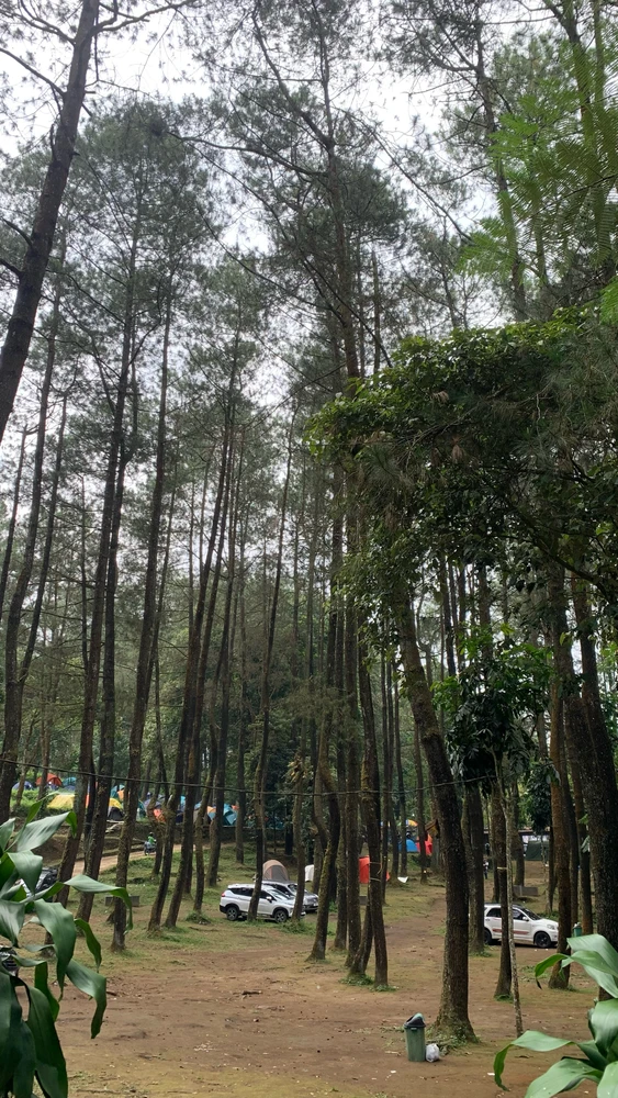 GIF uploaded by Veena