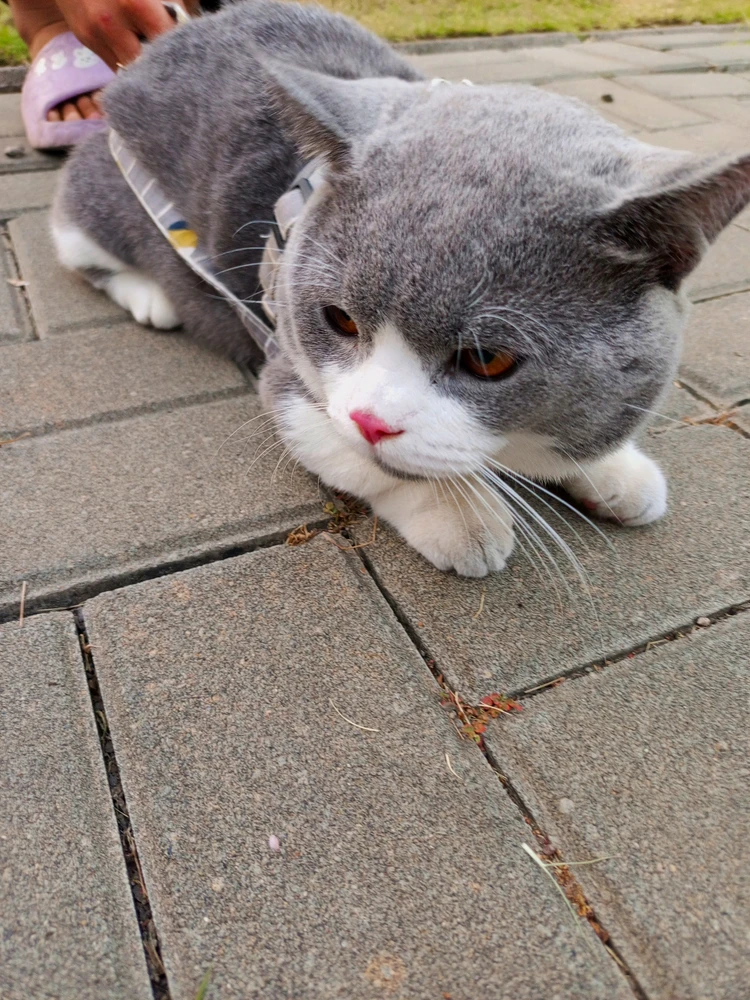 GIF uploaded by Shaa