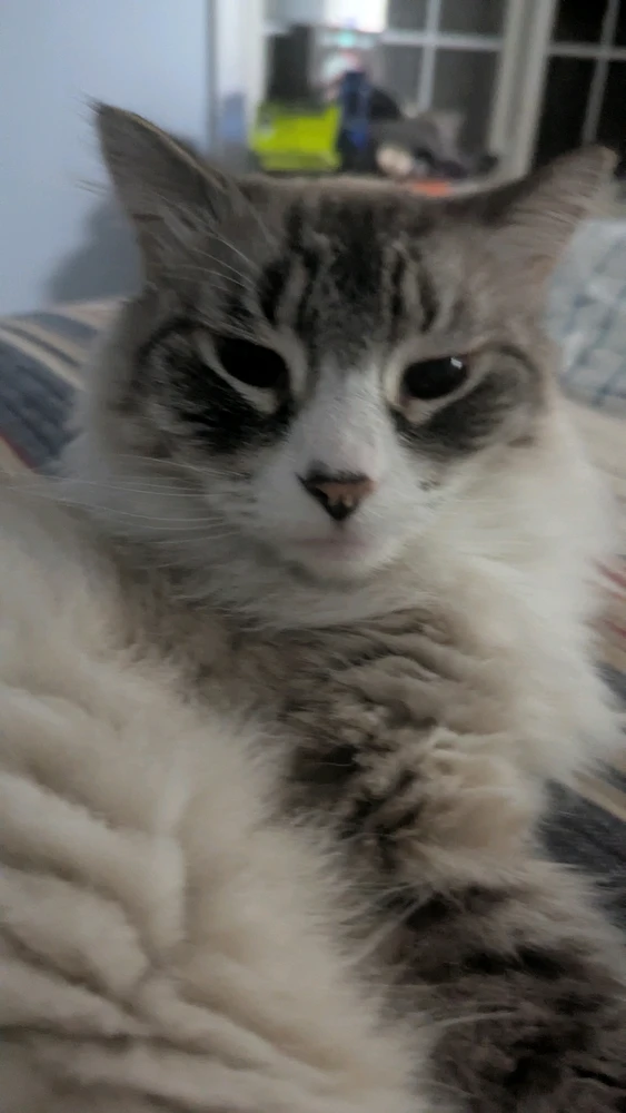 GIF uploaded by Benjamin Sawyer