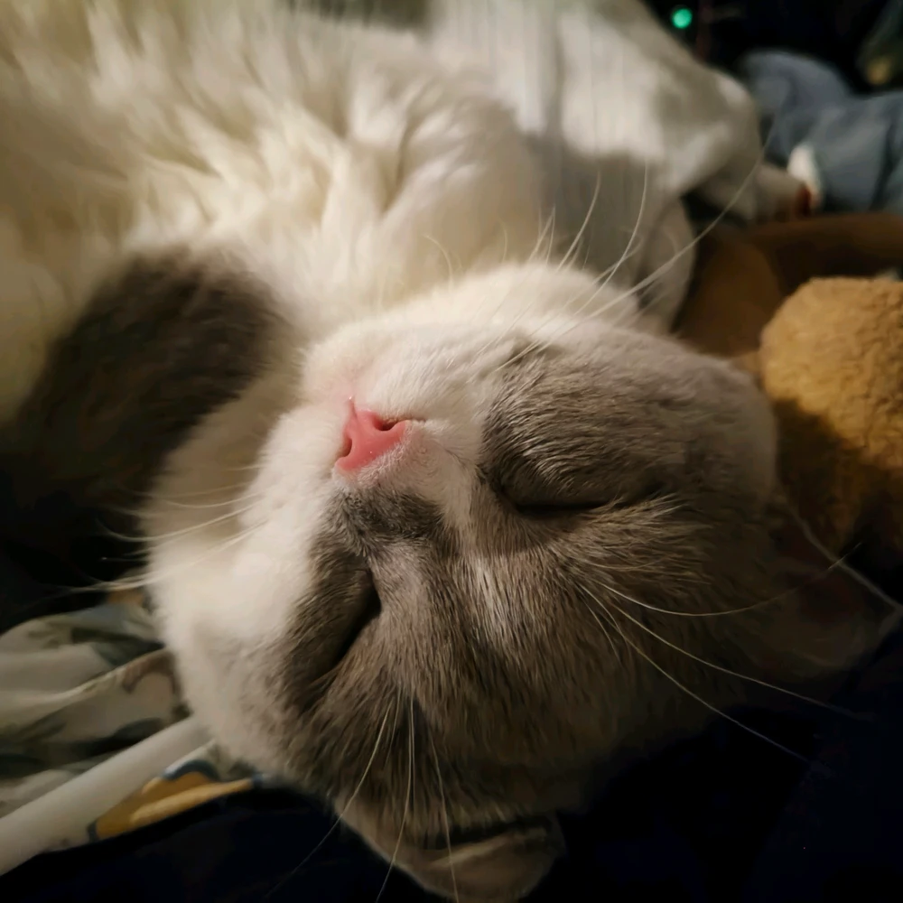 GIF uploaded by Marrie