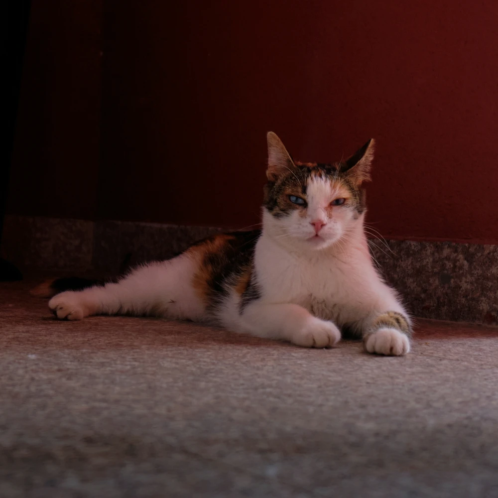 GIF uploaded by Artem