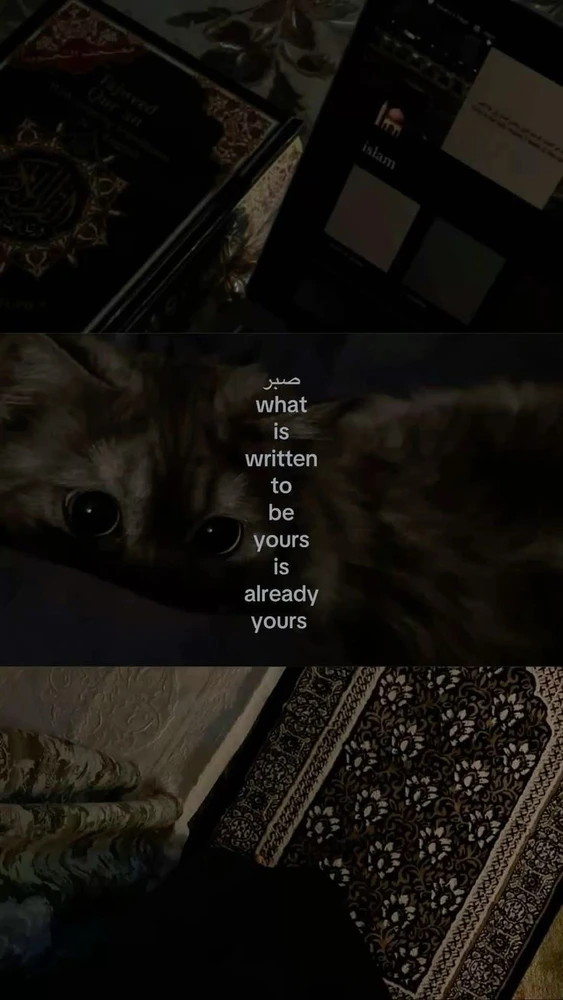 GIF uploaded by Athena