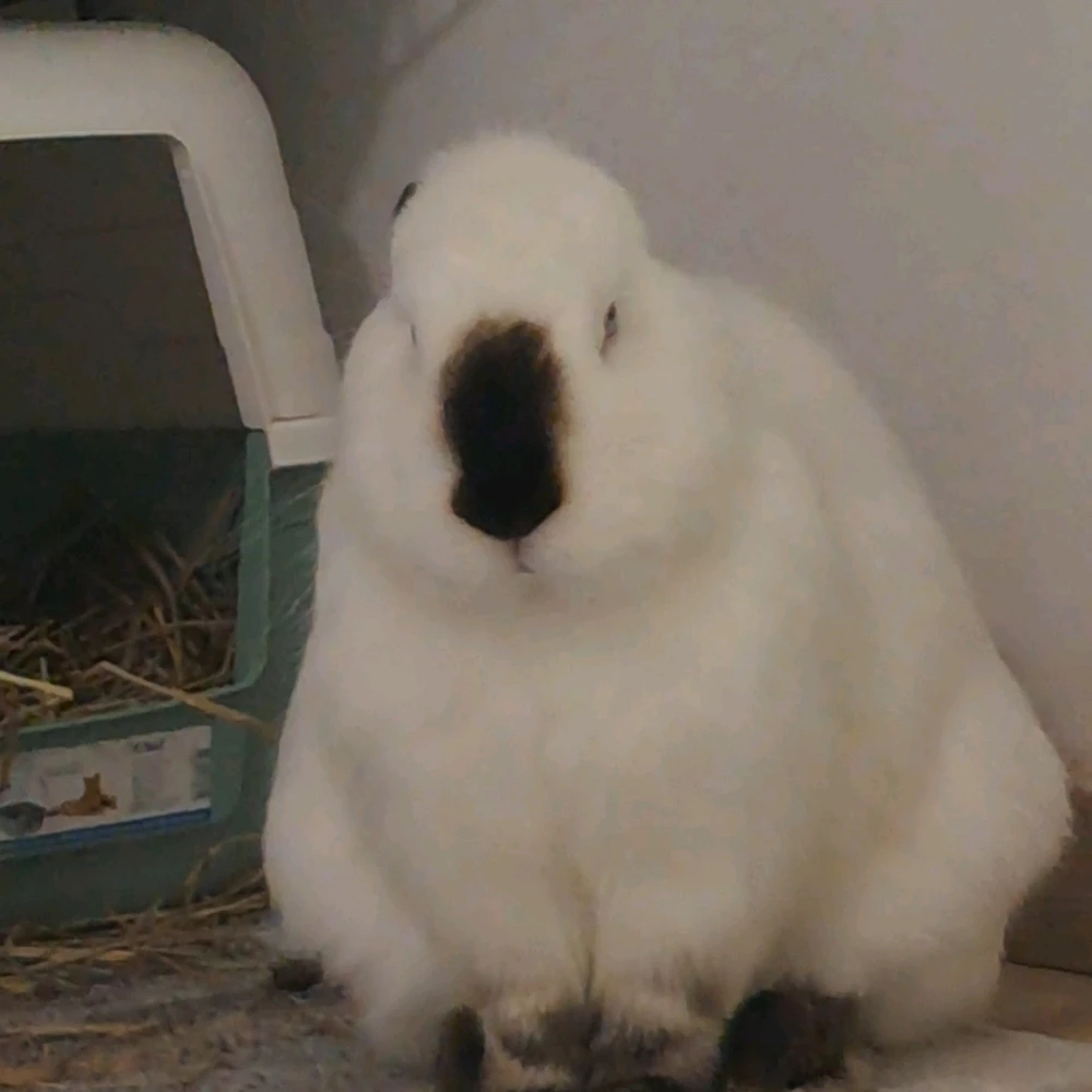 GIF uploaded by Lucija