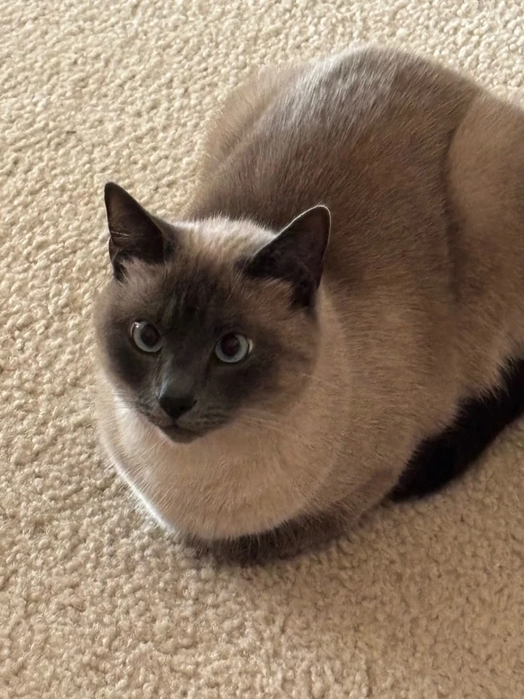 GIF uploaded by Liza