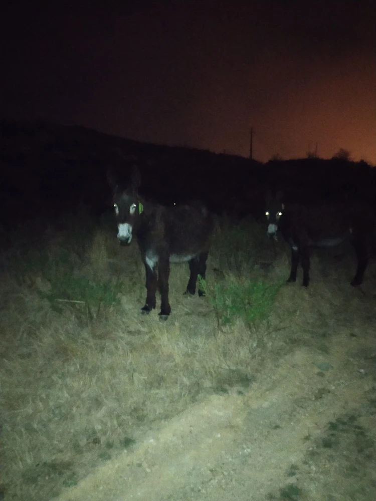 Image uploaded by Miguel