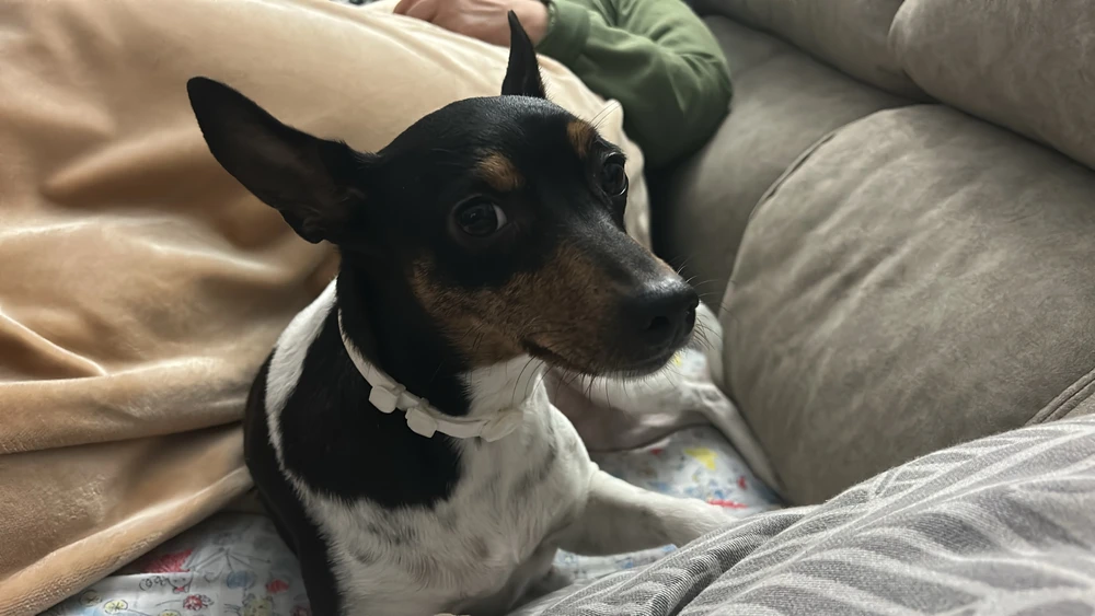 GIF uploaded by Vicen