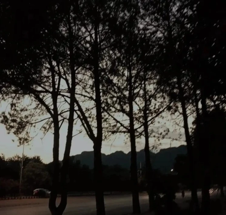 Gambar diunggah ku Dawood
