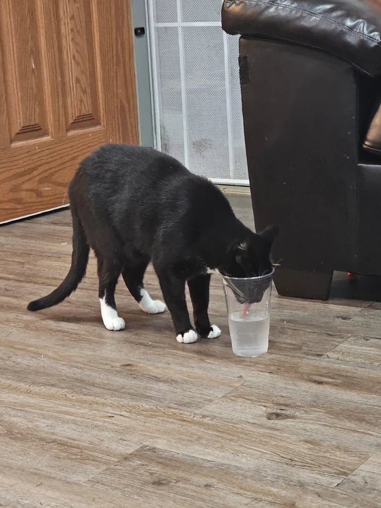 GIF uploaded by Alexis