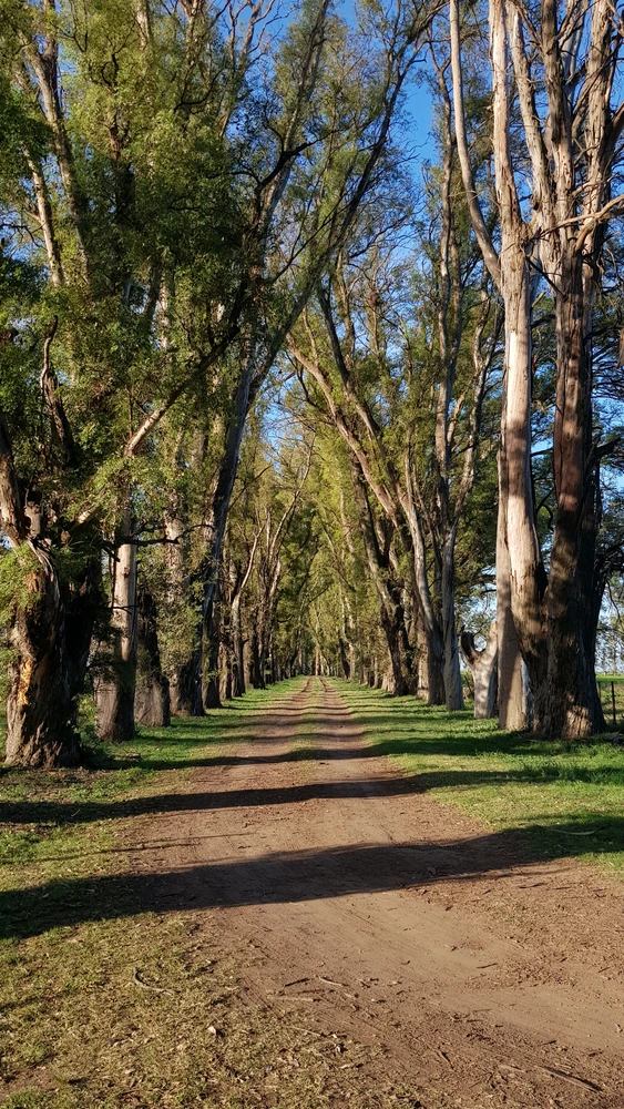 د Pilar لخوا اپلوډ شوی انځور