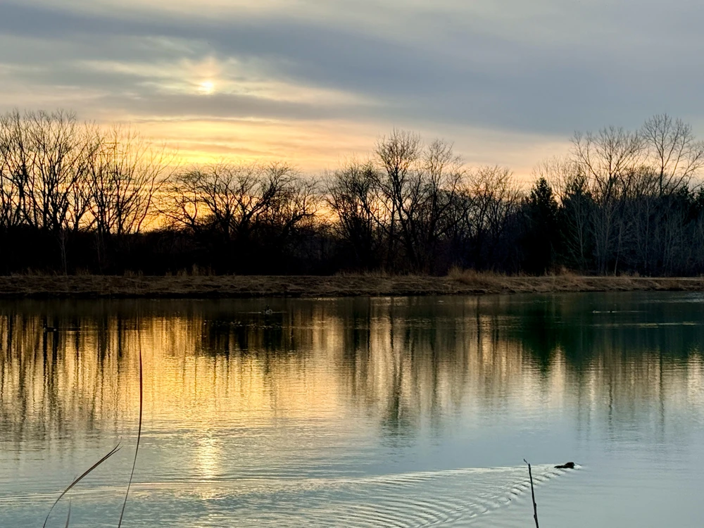 GIF uploaded by Bruhah