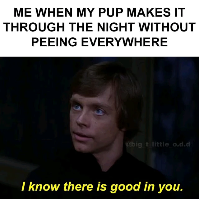 GIF uploaded by Benjiggity