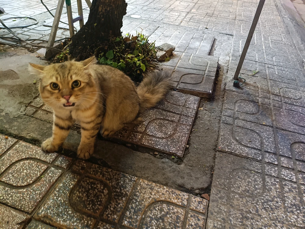 Minami Zume tarafından yüklenen görsel