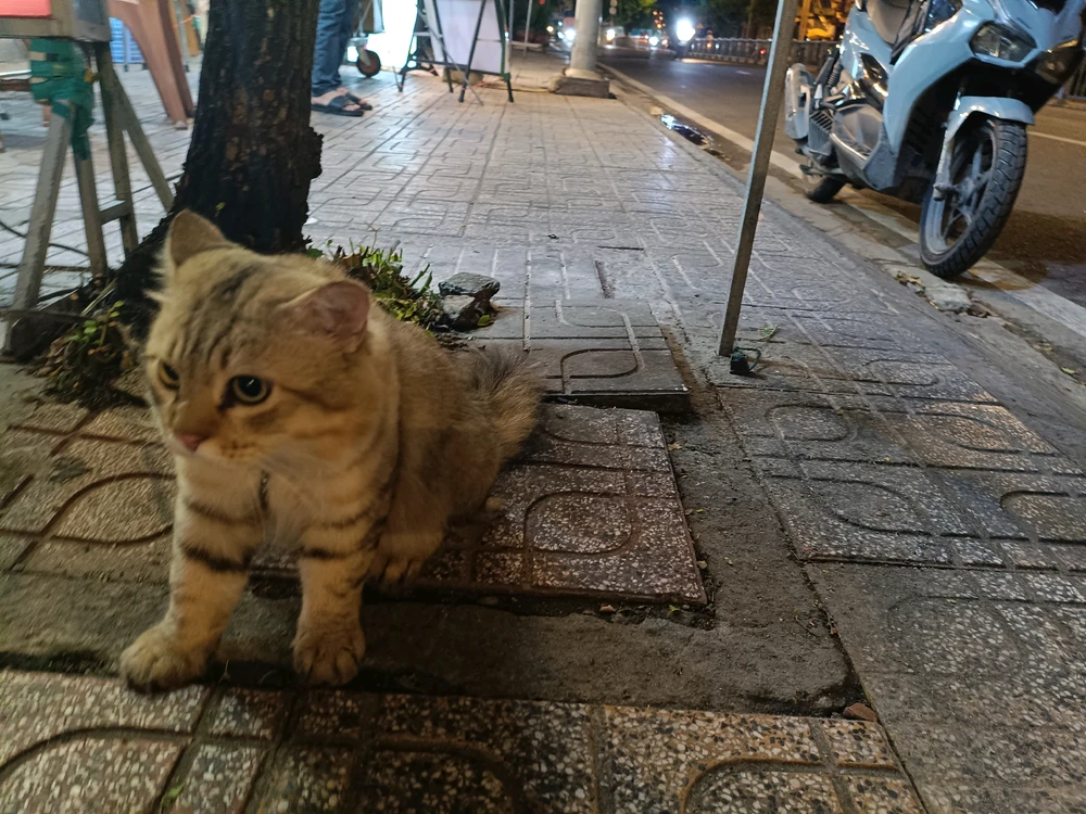Minami Zume tarafından yüklenen görsel