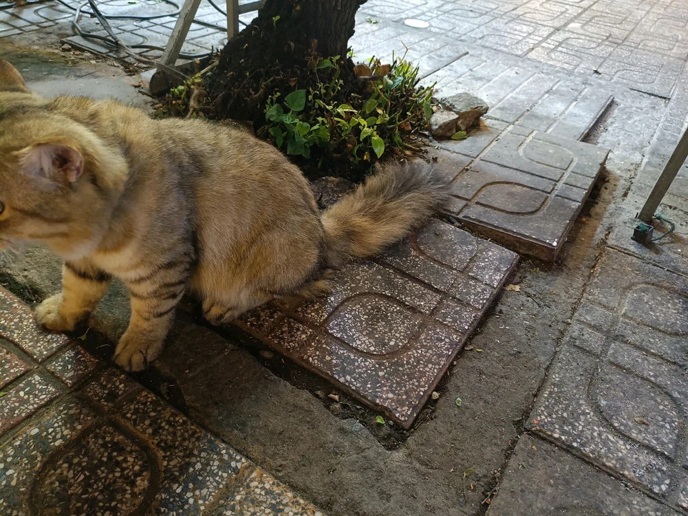 Minami Zume tarafından yüklenen görsel