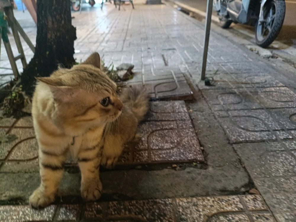 Minami Zume tarafından yüklenen görsel