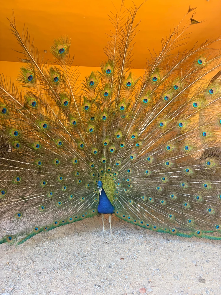 GIF uploaded by Abdo