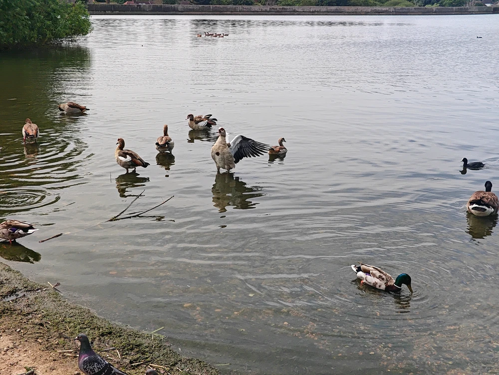 GIF uploaded by Sam