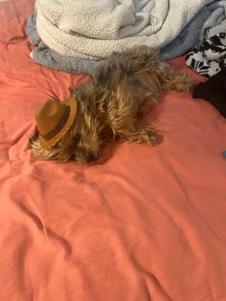 GIF uploaded by Stanley