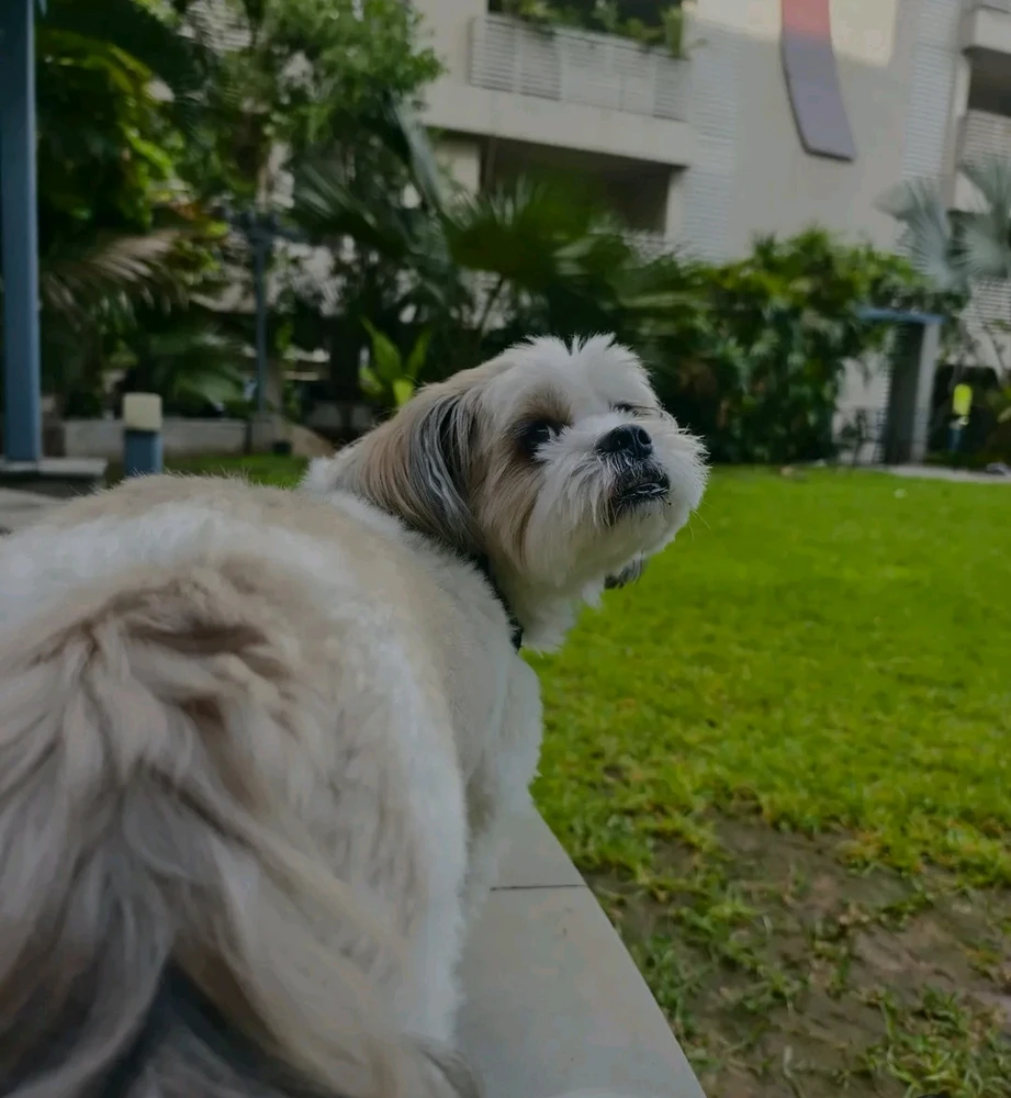 GIF uploaded by Tanmay