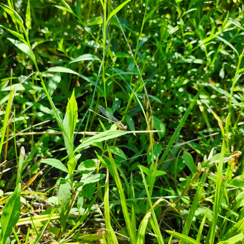 Image uploaded by Antonio