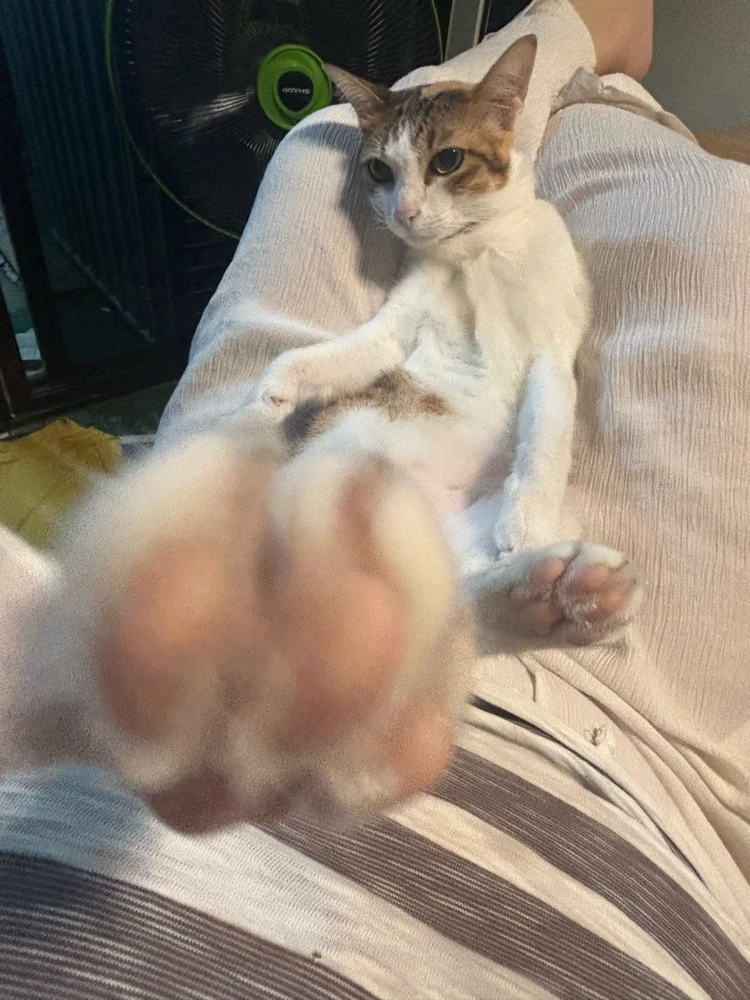GIF uploaded by Pat♡