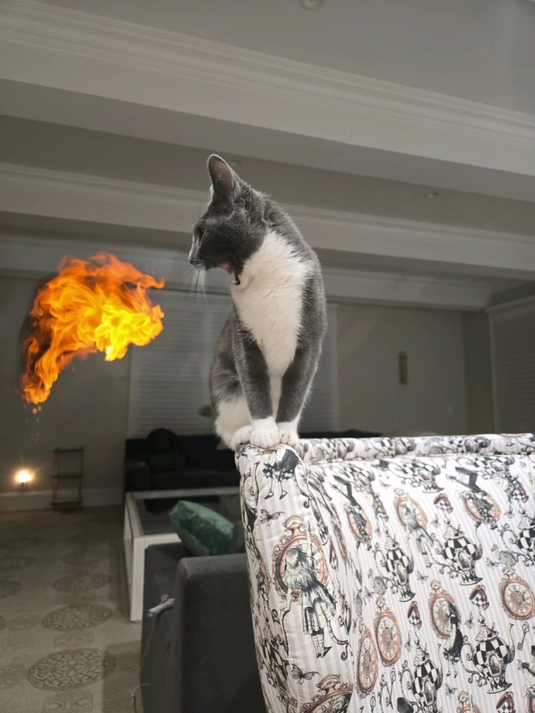 GIF diunggah ku Jake
