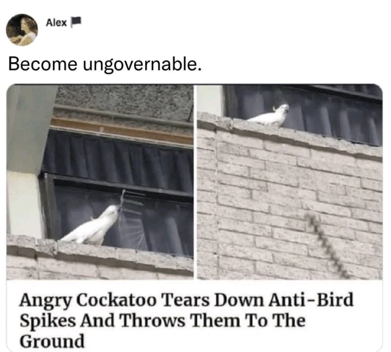 GIF uploaded by Benjiggity