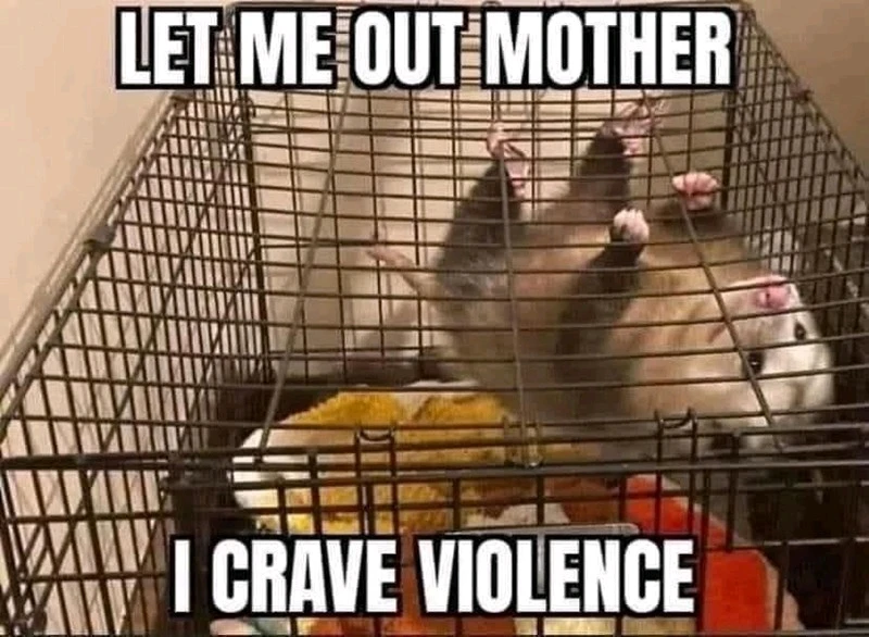 GIF uploaded by Benjiggity